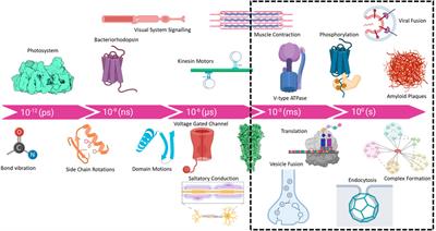 A simple flash and freeze system for cryogenic time-resolved electron microscopy